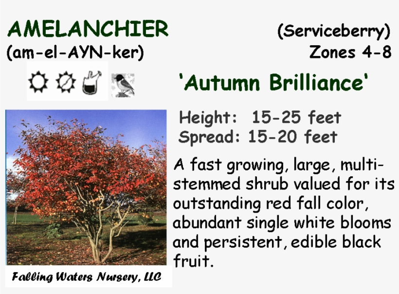 Reduced $12, Bogo $15 - Wausau, transparent png