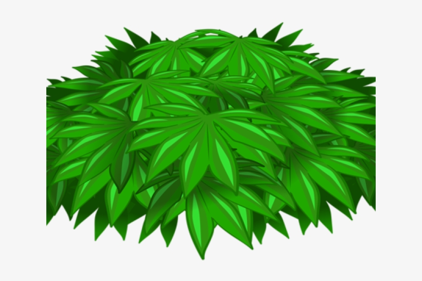 Illustration, transparent png