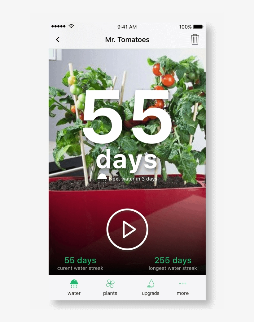 Upgrade To Premium For Unlimited Plants - Happy Plant App, transparent png