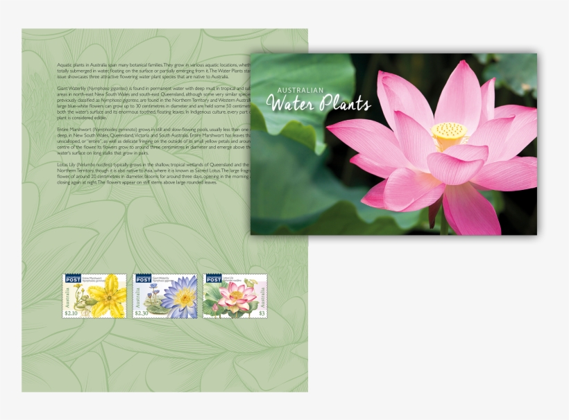 Water Plants Stamp Pack - Australia Post, transparent png