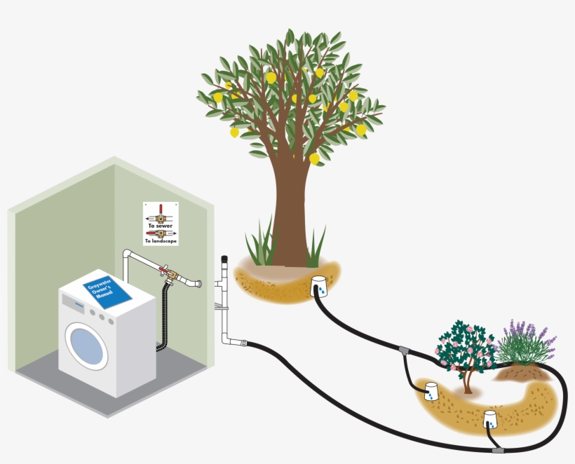 Rainwater Harvesting And Graywater Reuse In Sunnyvale, transparent png