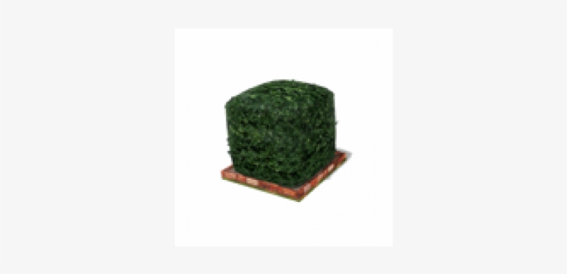 Artificial Turf, transparent png