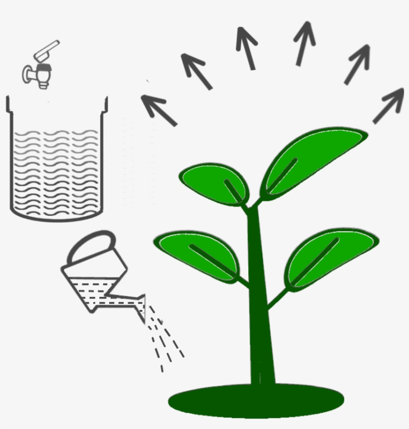 6 Dilute Smartbrew And Water Plants - Waste, transparent png