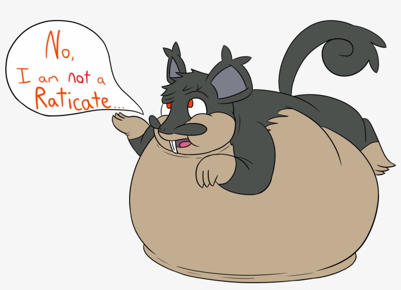 Gotta Be Close, Right - Fat Raticate, transparent png