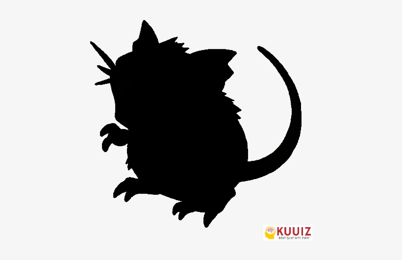 Who's That Pokémon Rattata - Pokemon Mouse, transparent png