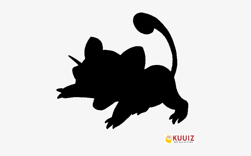 Raticate - Who's That Pokemon Rattata, transparent png