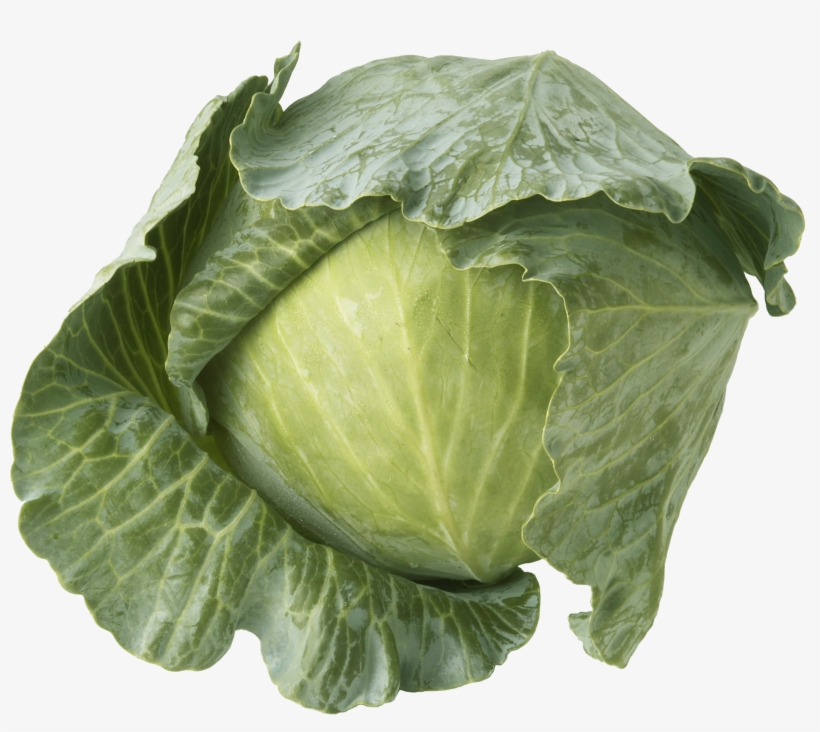 41056 Broccoli Crowns Cs, 88882 Fuji Apples 100/125ct, - Cabbage, transparent png