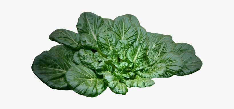 Virgin Earth Juice Spinach - Tatsoi, transparent png