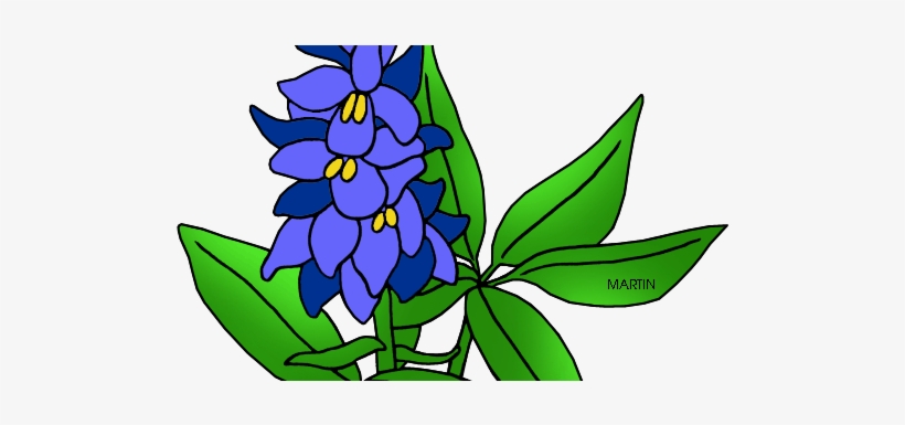 Texas State Flower Drawing, transparent png