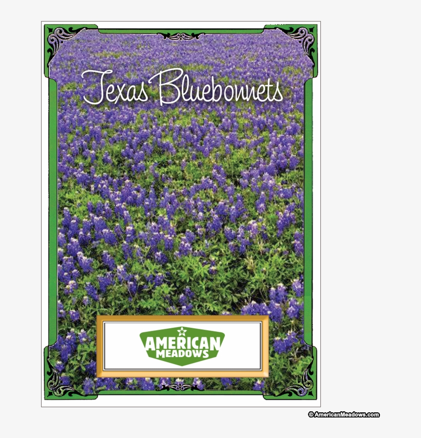 Texas Bluebonnet Seed Packet - Bluebonnets Happy Birthday, transparent png