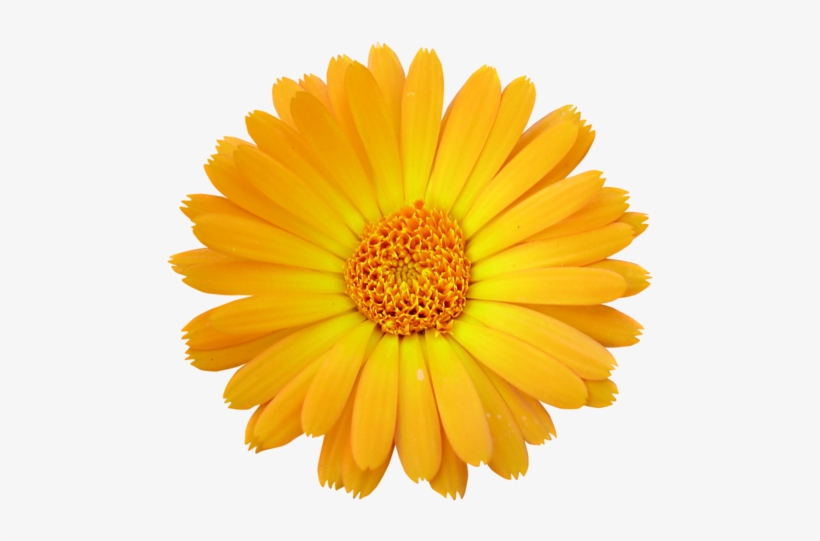 Votre P232re Sait - Complete Natural Remedy For Vaginal Dryness, transparent png