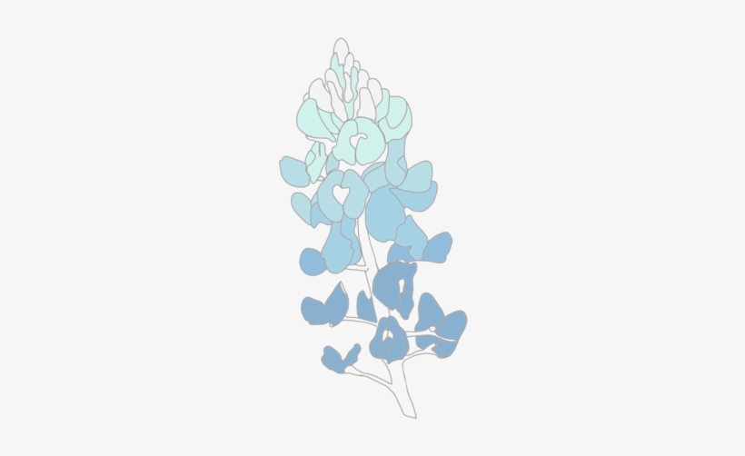 Bluebonnet - Png - Grape Hyacinth, transparent png