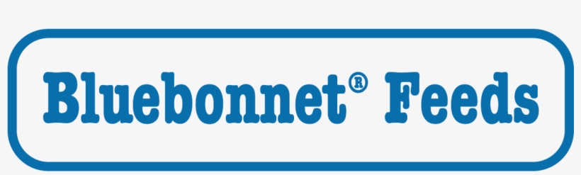 Providing Superior Feeds And Supplements For Equine, - Bluebonnet Feeds Logo, transparent png