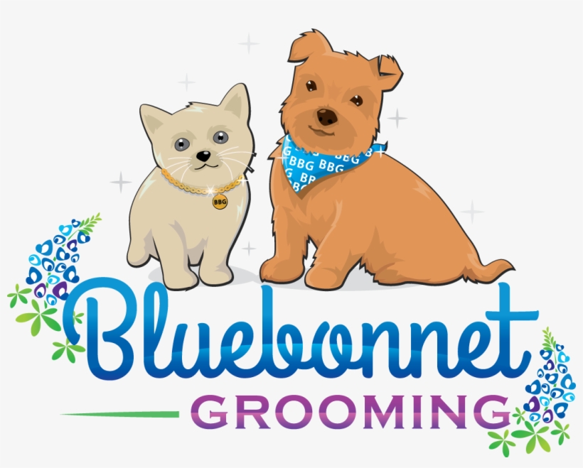 Welcome To Bluebonnet Grooming - Meadowsmarvels Rose Gold Blush And Gold Arrow Birthday, transparent png
