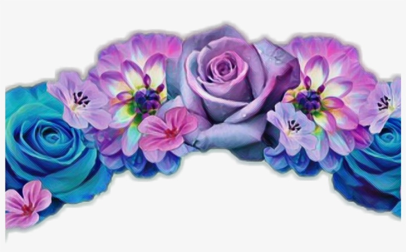 Flowercrown Flower Sticker Flowercrownsticker Flowersti - Orange Dahlia Seeds Chinese Flower Seeds Bonsai Plants, transparent png