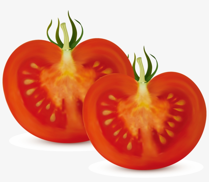 Bush Clipart Vegetable Plant - Tomato Cut In Half, transparent png