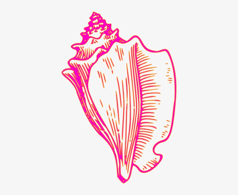Pink Yellow Conch Shell 2 Clip Art At Clker - Conch Clipart, transparent png