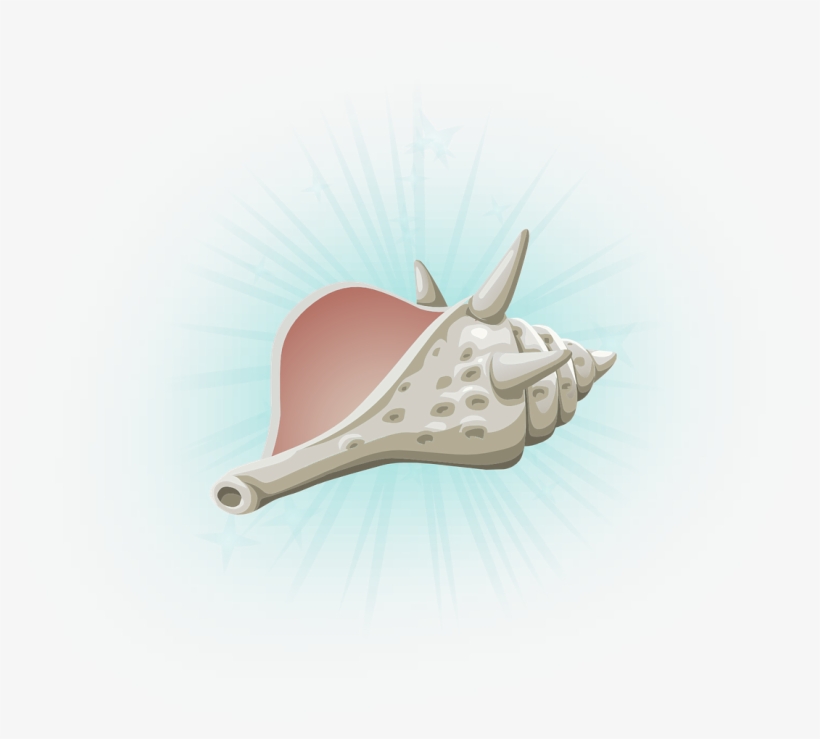 Seashell Conch Shell Dead Transparent Image - Misc Conch (color: Navy, Fit Type: Women, Size: 4xl), transparent png