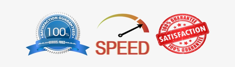 Pc Installer, It Is A Program That Will Allow You To - Dog Shoes For Small And Large Dogs. Protect Your Pets, transparent png