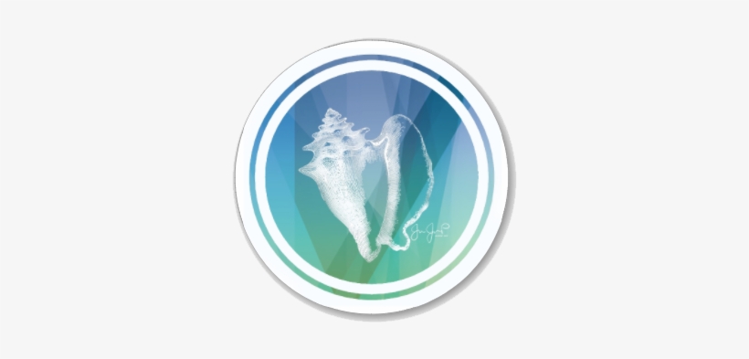 Cnidaria, transparent png