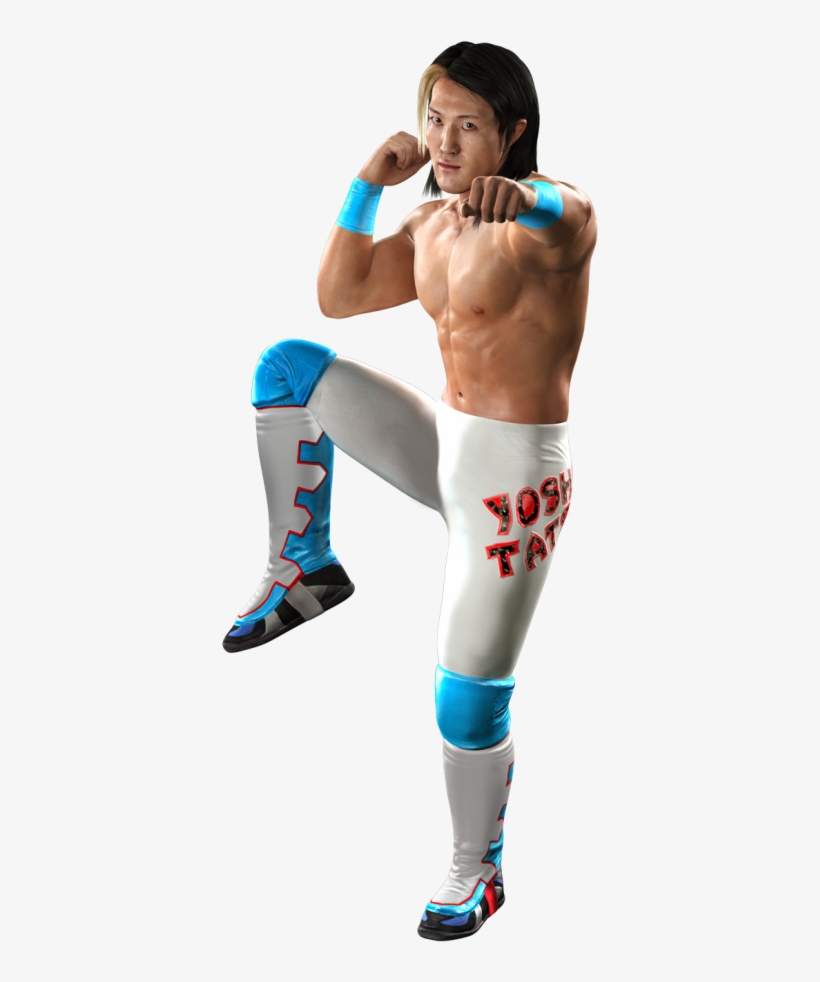 Yoshitatsusvr11 Yoshi Tatsu Wwe Smackdown Vs Raw 11 475x949 Png Download Pngkit