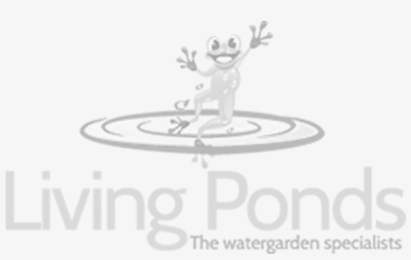 Fish Net Skimmer - Pond, transparent png