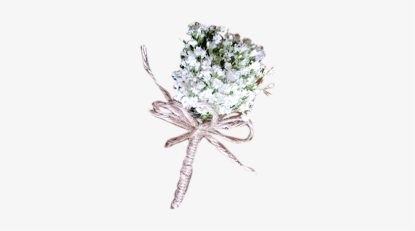 Baby's Breath Boutonniere - Bouquet, transparent png