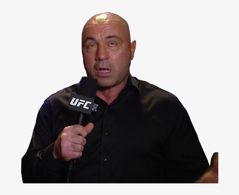 Joe Rogan Net Worth - Joe Rogan, transparent png