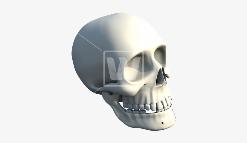 Human Skull - Skull, transparent png