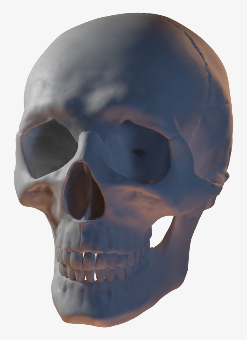 Preview 451 Kb - Blender, transparent png