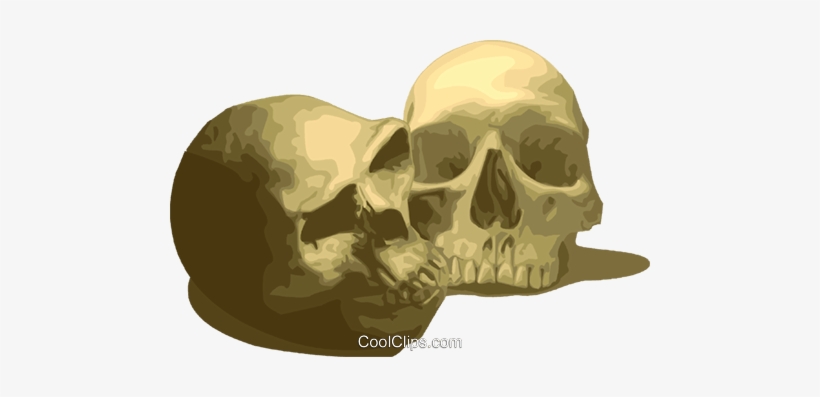 Human Skulls Royalty Free Vector Clip Art Illustration - Scientist, transparent png