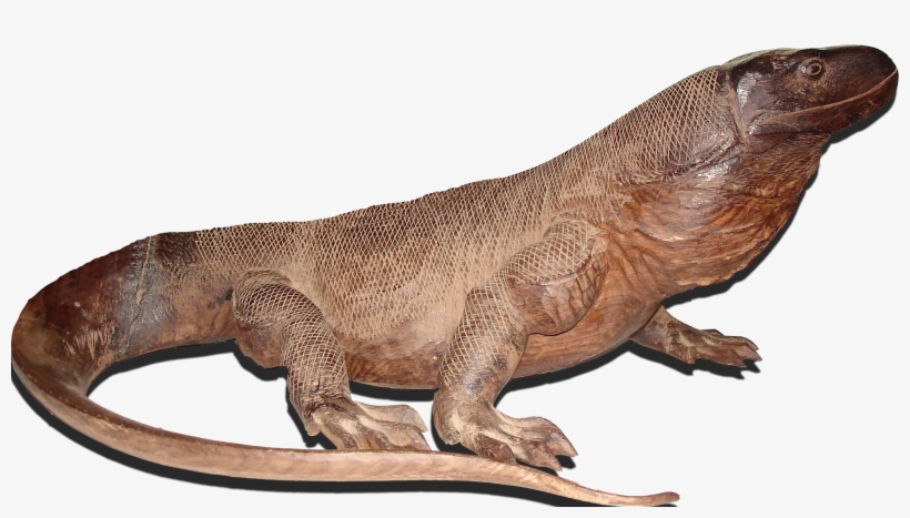 Komodo National Park - Komodowaran Png, transparent png
