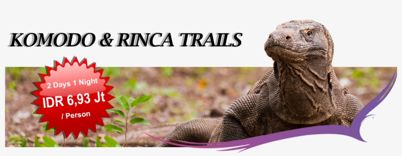 Komodo Paket, transparent png