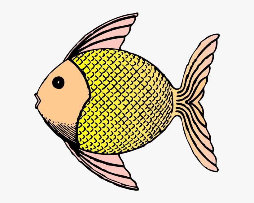 Tropical Fish With Scales Clip Art At Clker - Fish Clip Art, transparent png