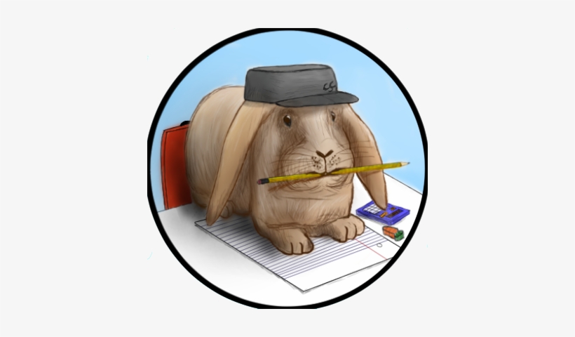 Guinea Pig, transparent png