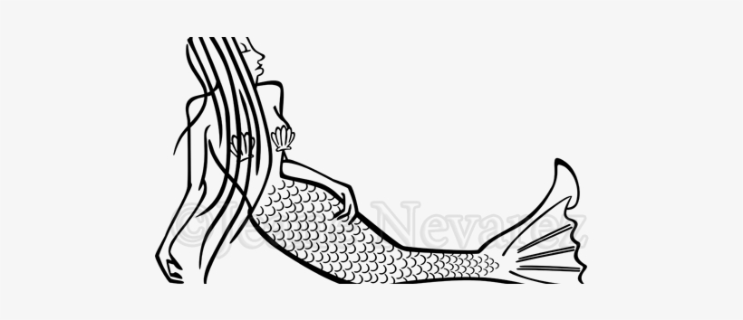 Clip Art, transparent png