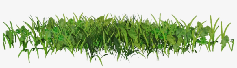 60 Images About ✦ Png & Overlays ✦ On We Heart It - Grass Overlays, transparent png