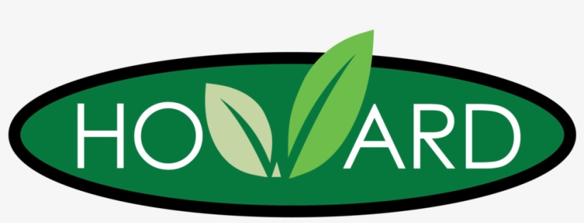 Unnamed - Zurdo Asi Son Las Cosas, transparent png