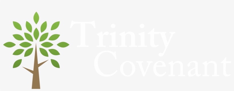 Palm Sunday - Graphic Design, transparent png