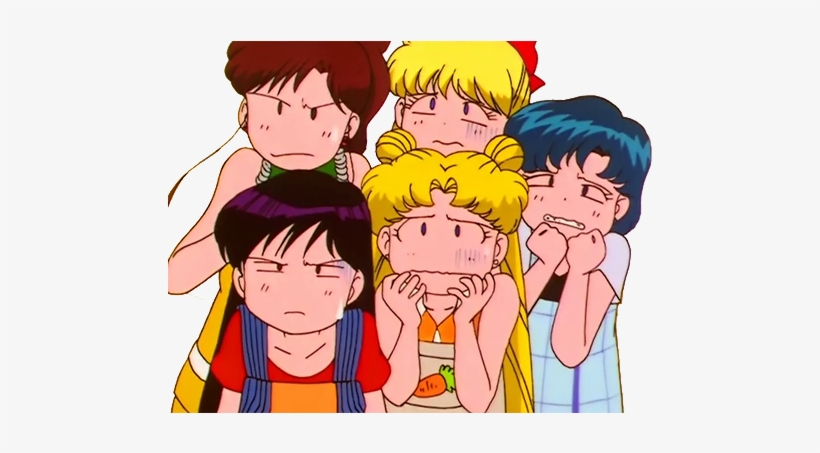 #don't Even Get Me Started On How They Just Stop Fighting - Sailor Moon Cockroach, transparent png