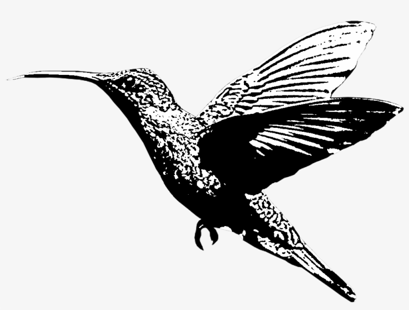 Schlitz Banjo Cray Readymade Mumblecore Church-key - Iqos Hummingbird, transparent png