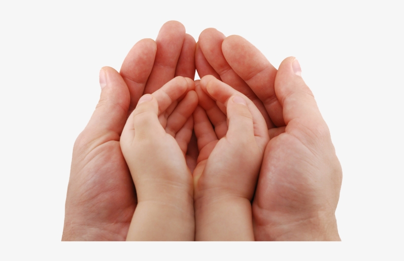 Newbabies - Child And Adult Hands, transparent png