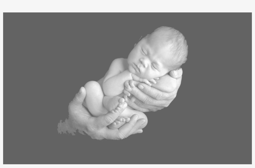 Baby In Hands Bg2 - Baby, transparent png