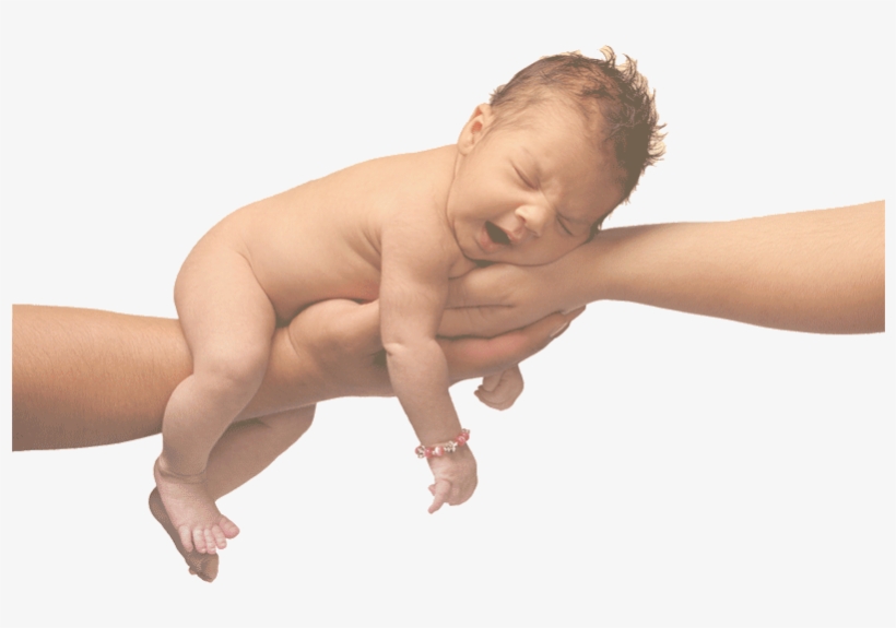 Baby Friendly Online Education - Her Two Dads, transparent png