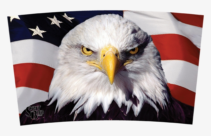 Usa Eagle Spit Bud Usa Eagle Spit Bud - American Eagle, transparent png