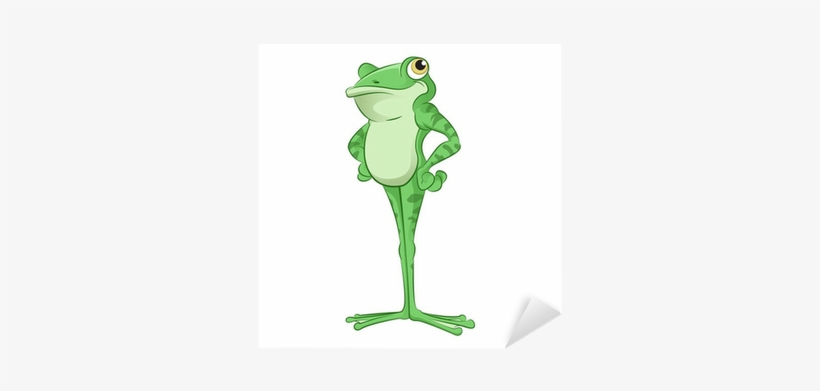 Grenouille Dessin Animé, transparent png