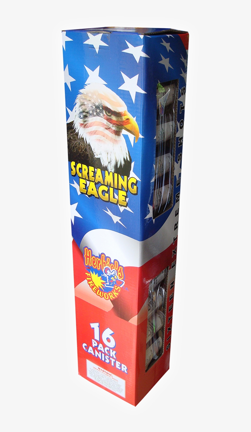 Bald Eagle, transparent png