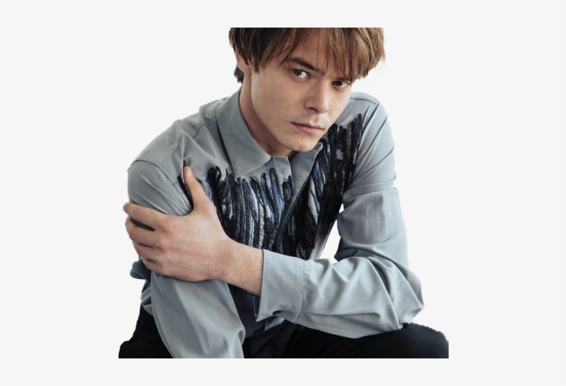 Charlie Heaton Png, transparent png