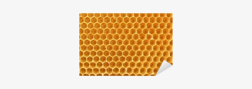 Honeycomb Background Png Download - Dried Honeycomb Background, transparent png