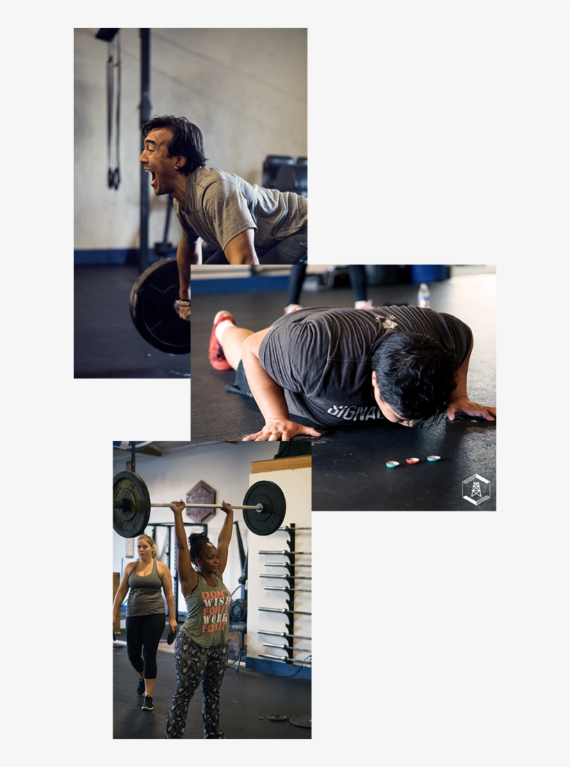 By Phil Sarris And Has Steadily Grown Into A Pillar - Biceps Curl, transparent png
